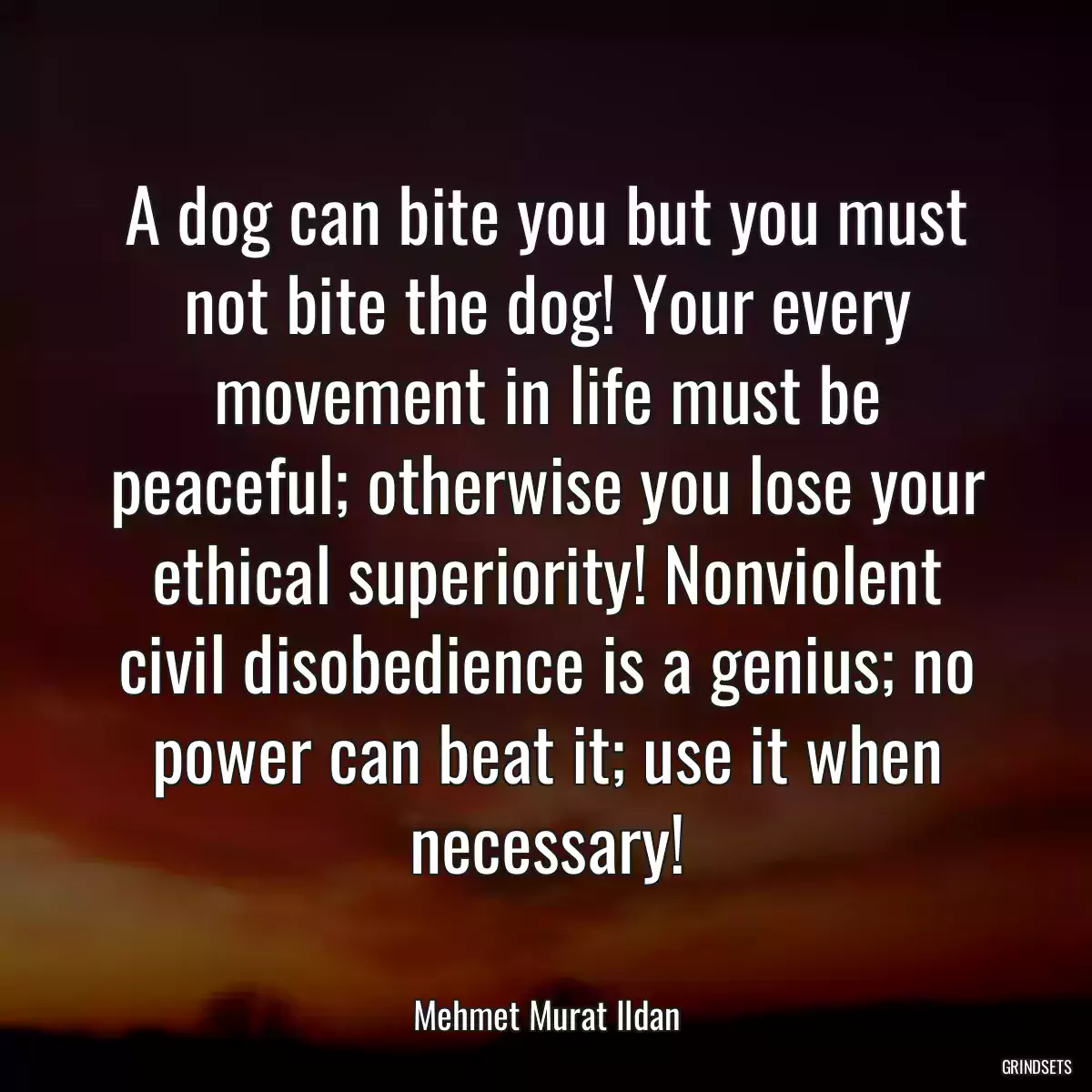 A dog can bite you but you must not bite the dog! Your every movement in life must be peaceful; otherwise you lose your ethical superiority! Nonviolent civil disobedience is a genius; no power can beat it; use it when necessary!