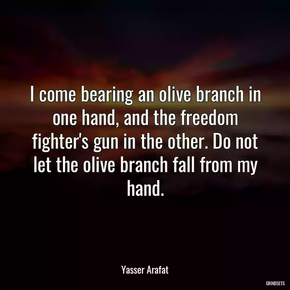 I come bearing an olive branch in one hand, and the freedom fighter\'s gun in the other. Do not let the olive branch fall from my hand.