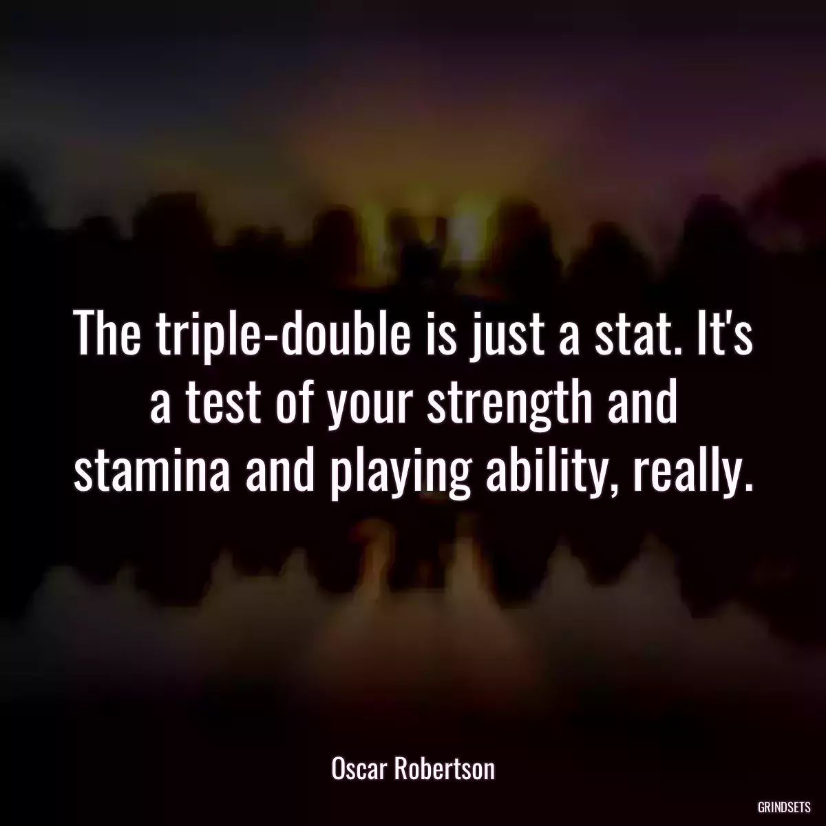 The triple-double is just a stat. It\'s a test of your strength and stamina and playing ability, really.