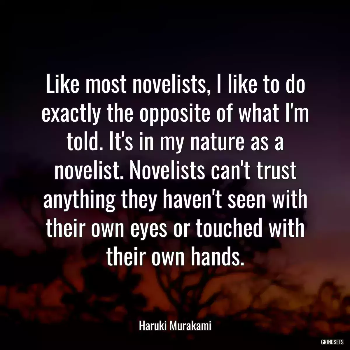 Like most novelists, I like to do exactly the opposite of what I\'m told. It\'s in my nature as a novelist. Novelists can\'t trust anything they haven\'t seen with their own eyes or touched with their own hands.