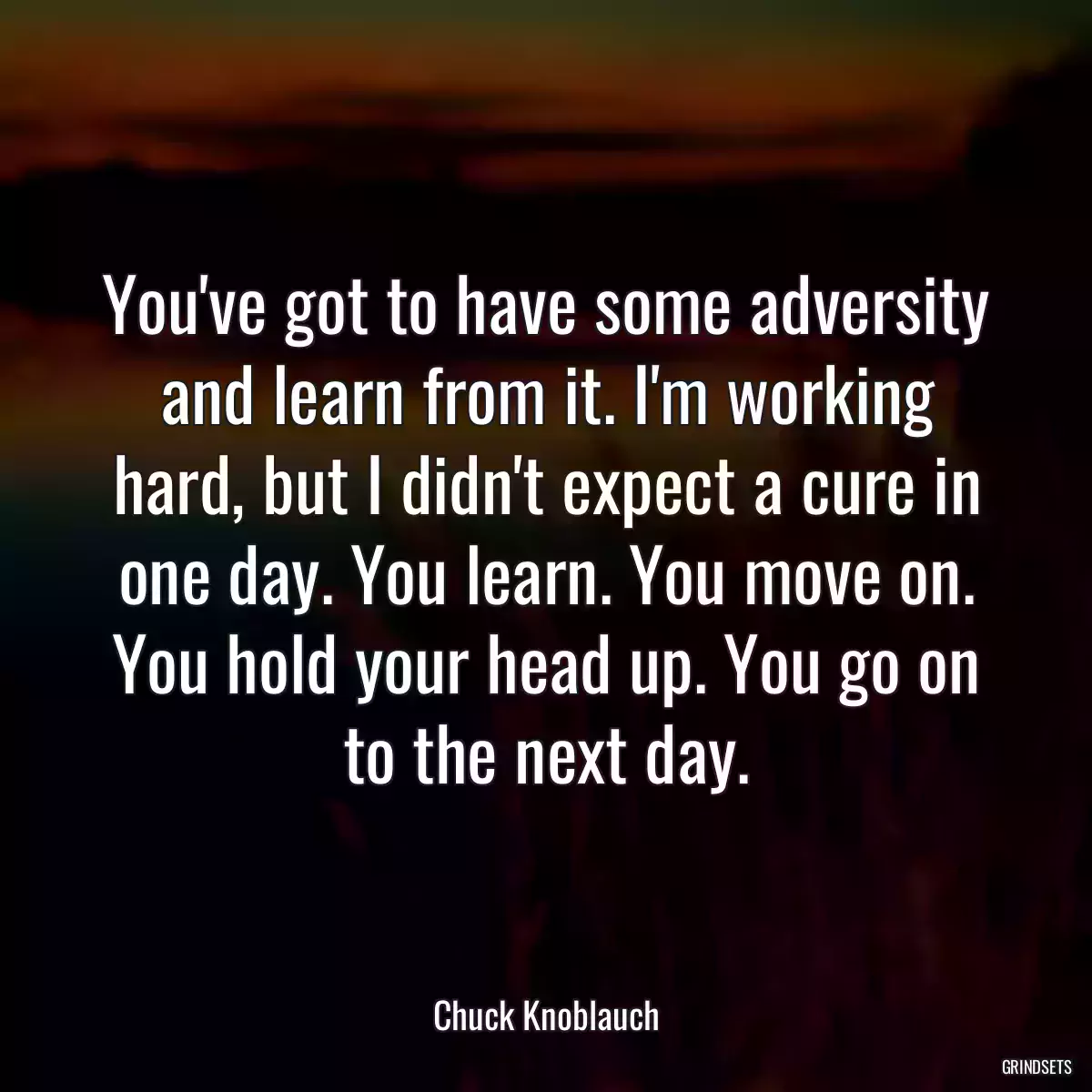 You\'ve got to have some adversity and learn from it. I\'m working hard, but I didn\'t expect a cure in one day. You learn. You move on. You hold your head up. You go on to the next day.