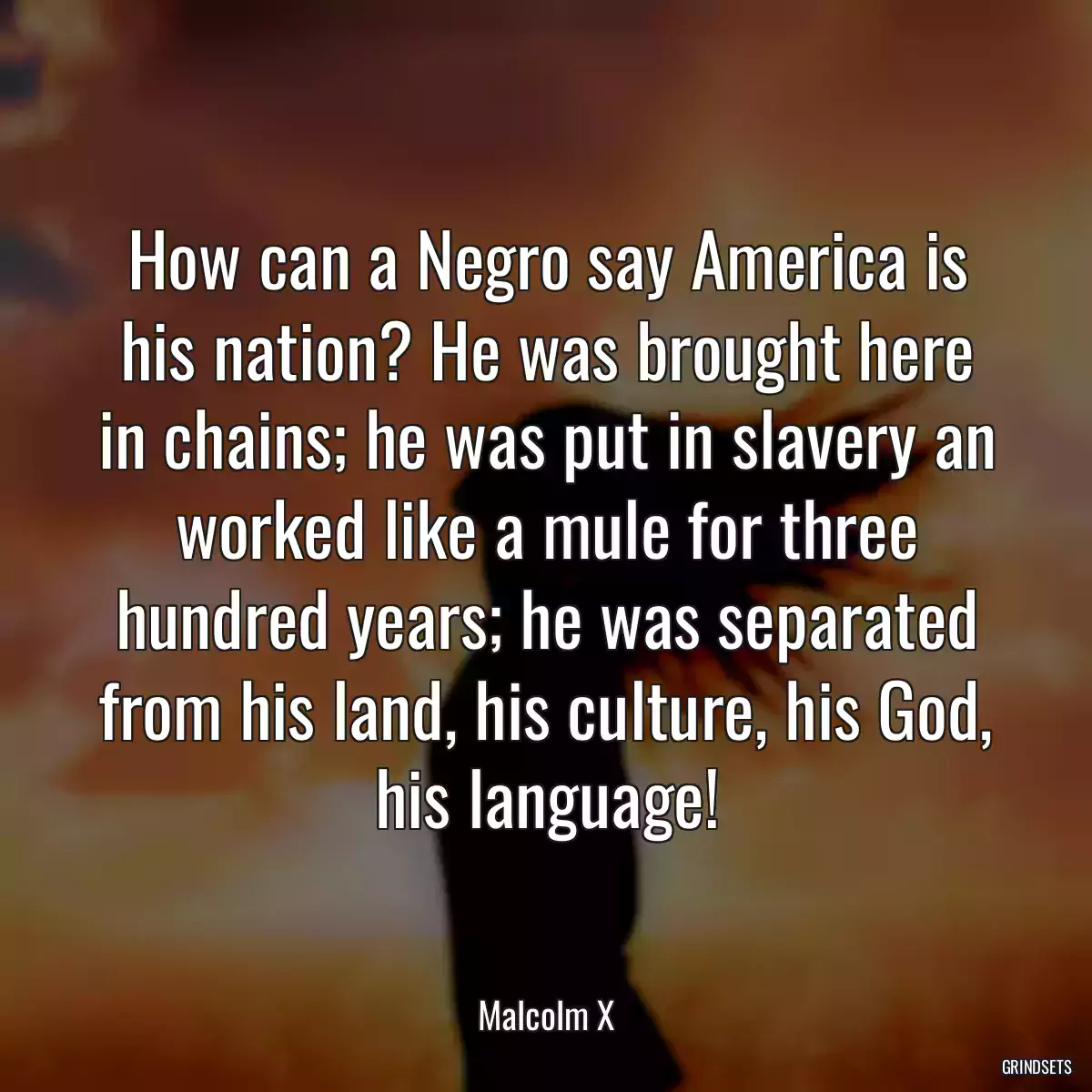 How can a Negro say America is his nation? He was brought here in chains; he was put in slavery an worked like a mule for three hundred years; he was separated from his land, his culture, his God, his language!