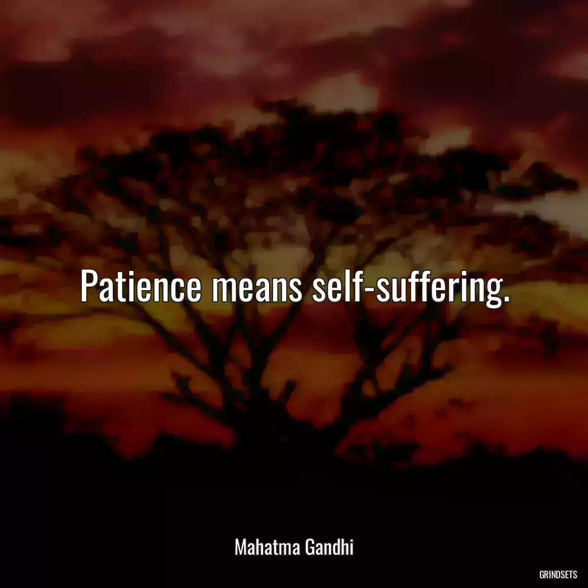 Patience means self-suffering.