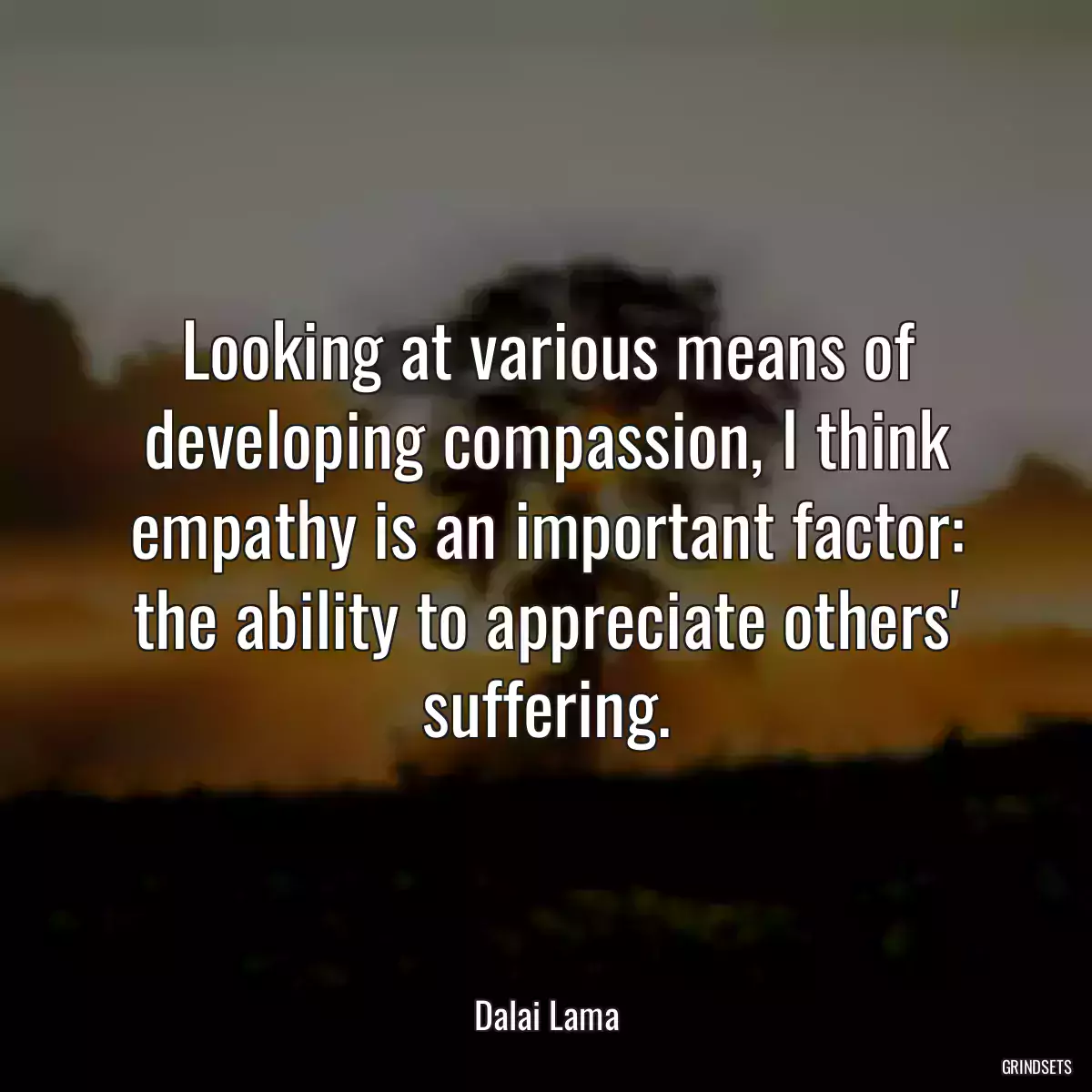 Looking at various means of developing compassion, I think empathy is an important factor: the ability to appreciate others\' suffering.