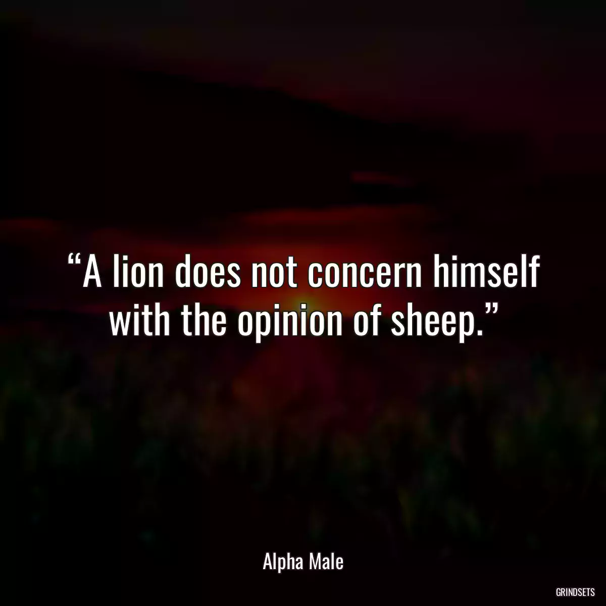 “A lion does not concern himself with the opinion of sheep.”