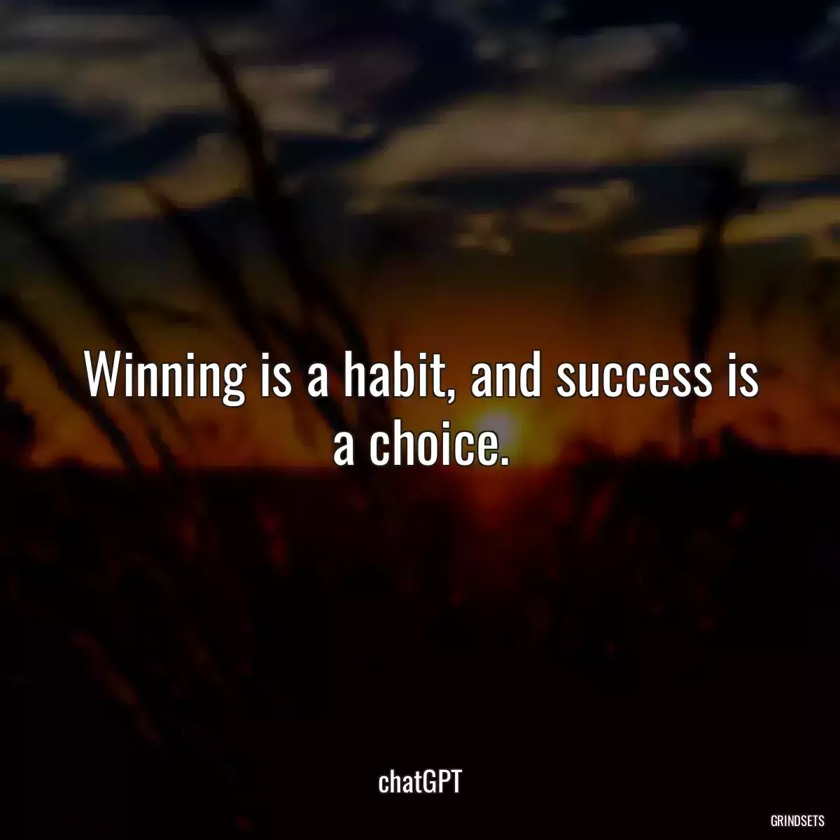 Winning is a habit, and success is a choice.