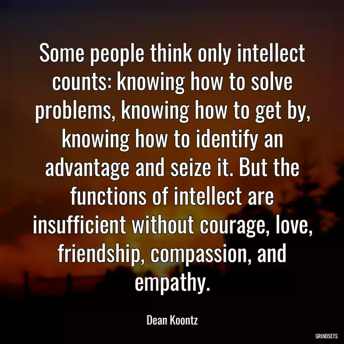 Some people think only intellect counts: knowing how to solve problems, knowing how to get by, knowing how to identify an advantage and seize it. But the functions of intellect are insufficient without courage, love, friendship, compassion, and empathy.