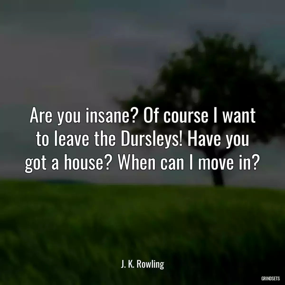 Are you insane? Of course I want to leave the Dursleys! Have you got a house? When can I move in?