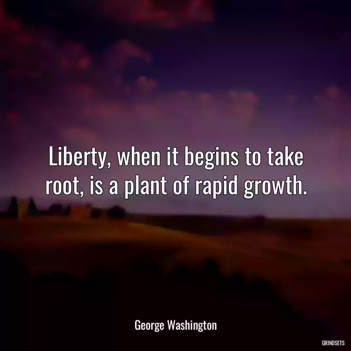 Liberty, when it begins to take root, is a plant of rapid growth.