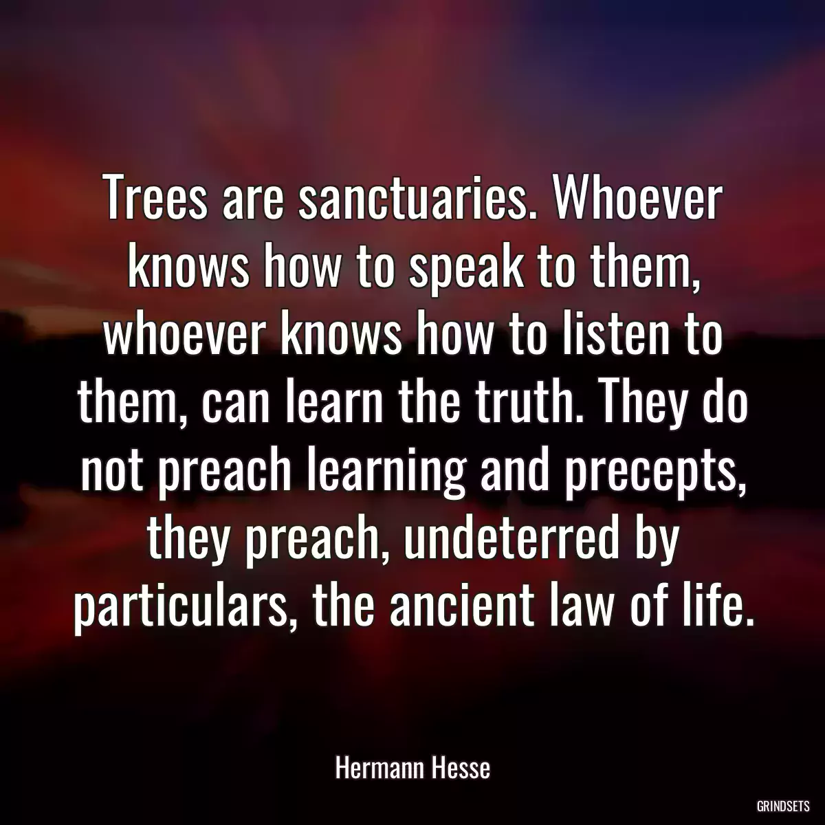 Trees are sanctuaries. Whoever knows how to speak to them, whoever knows how to listen to them, can learn the truth. They do not preach learning and precepts, they preach, undeterred by particulars, the ancient law of life.