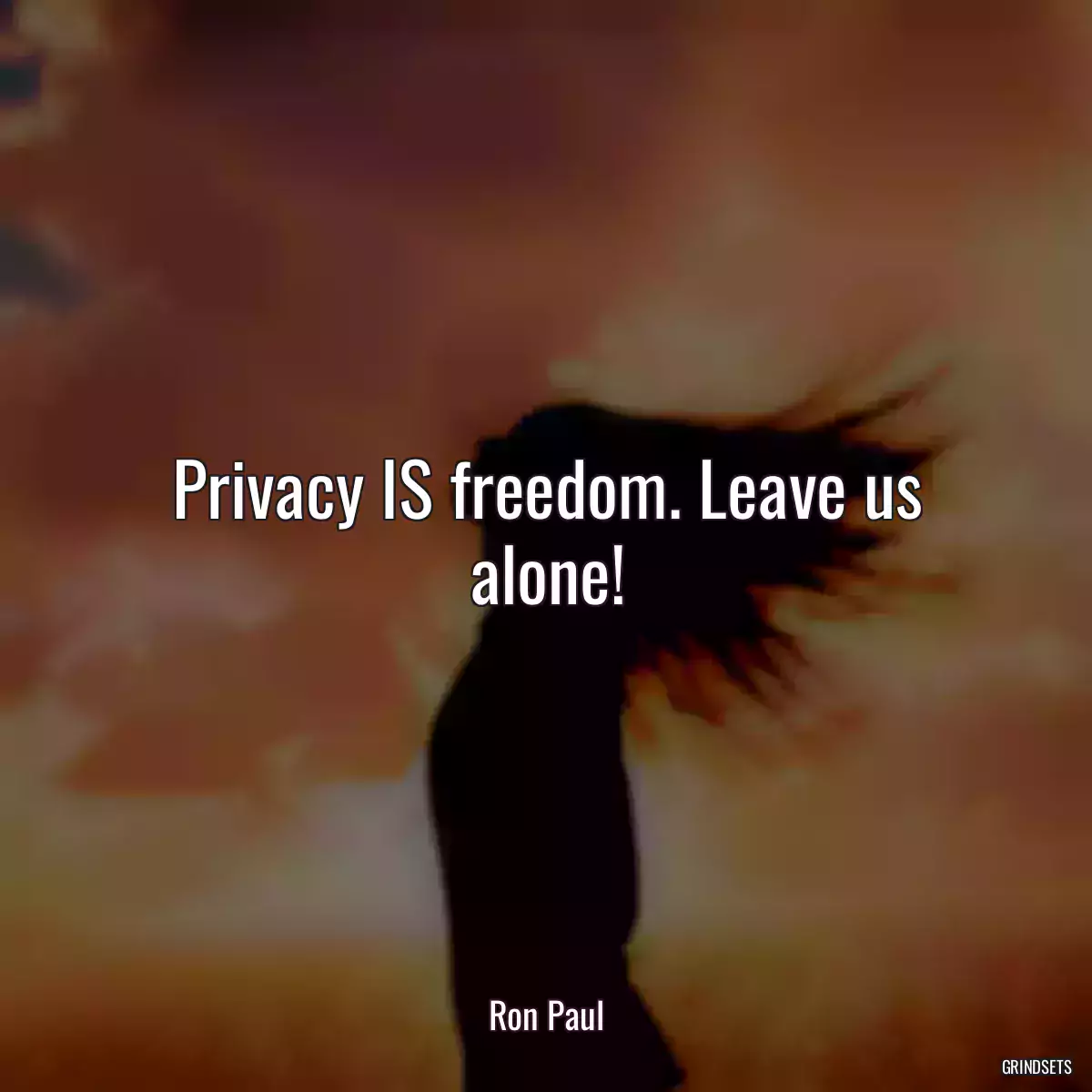 Privacy IS freedom. Leave us alone!