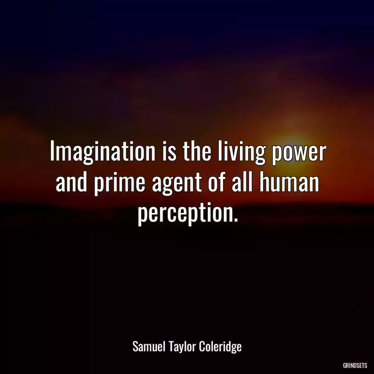 Imagination is the living power and prime agent of all human perception.