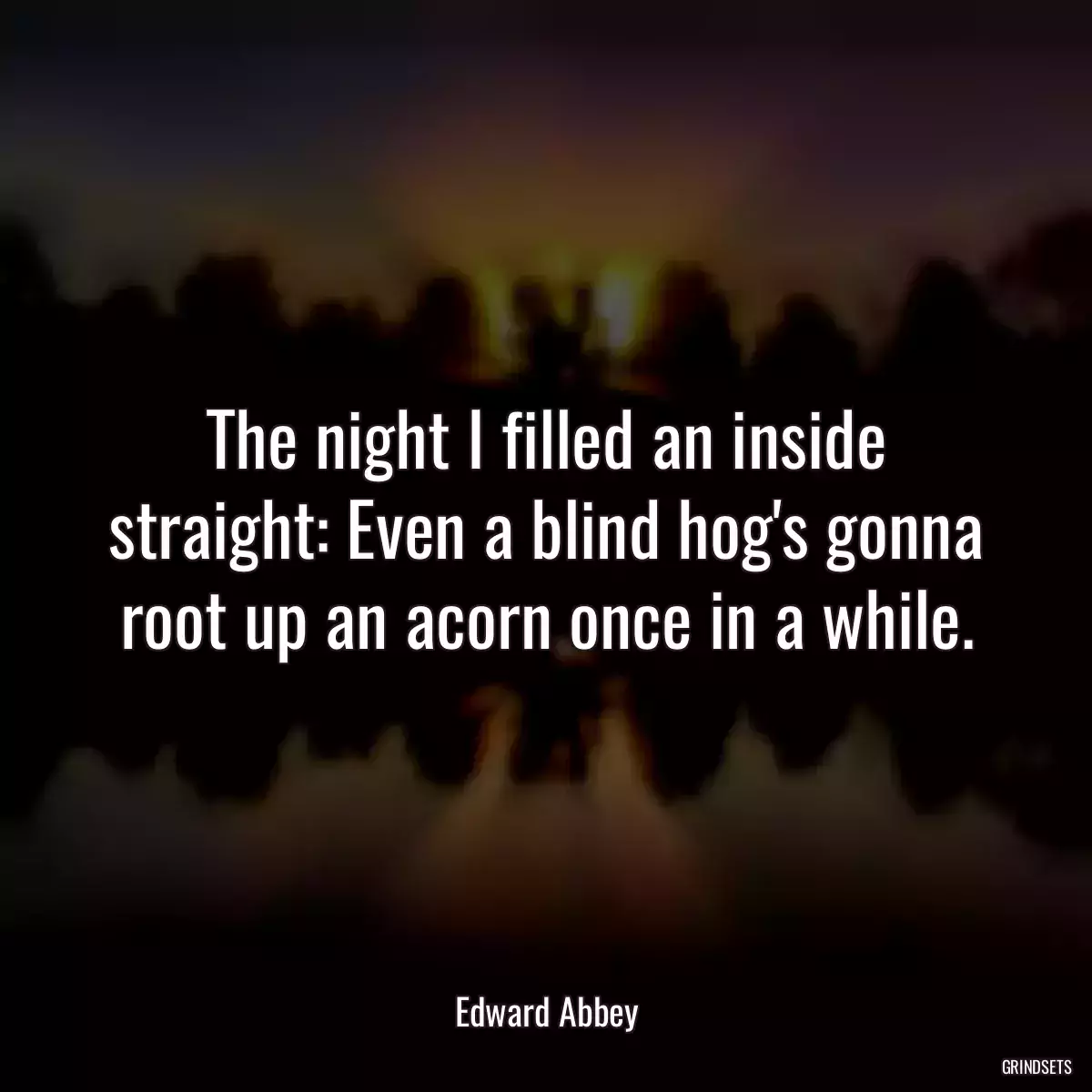 The night I filled an inside straight: Even a blind hog\'s gonna root up an acorn once in a while.