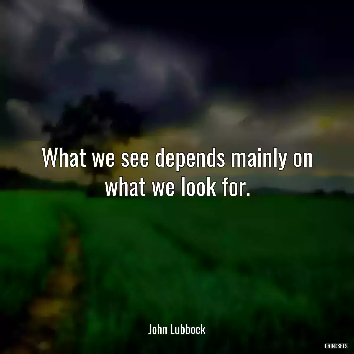 What we see depends mainly on what we look for.