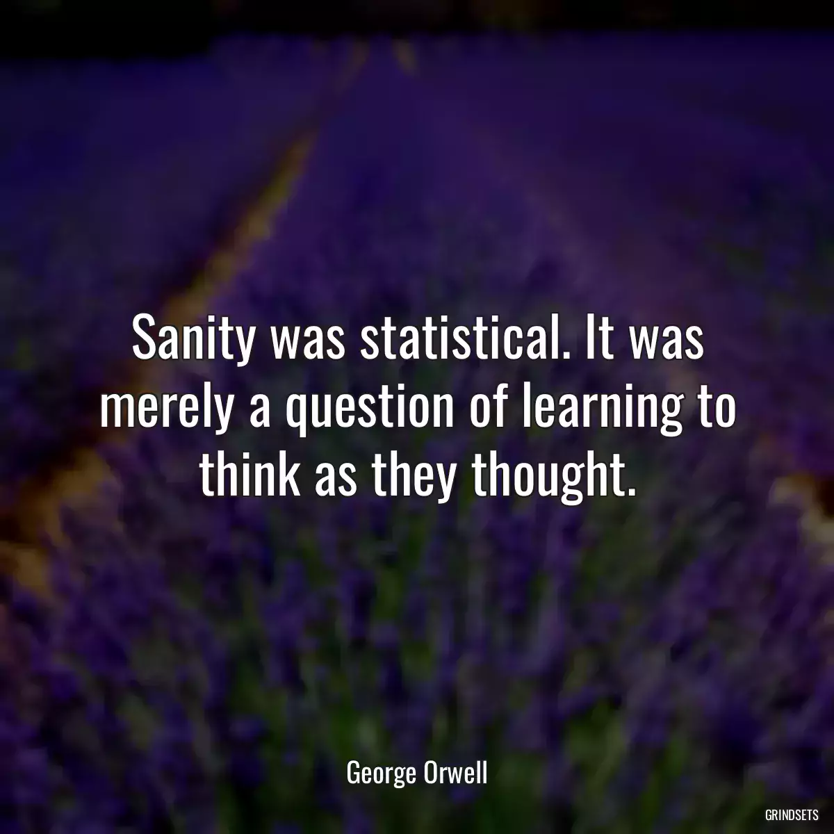 Sanity was statistical. It was merely a question of learning to think as they thought.