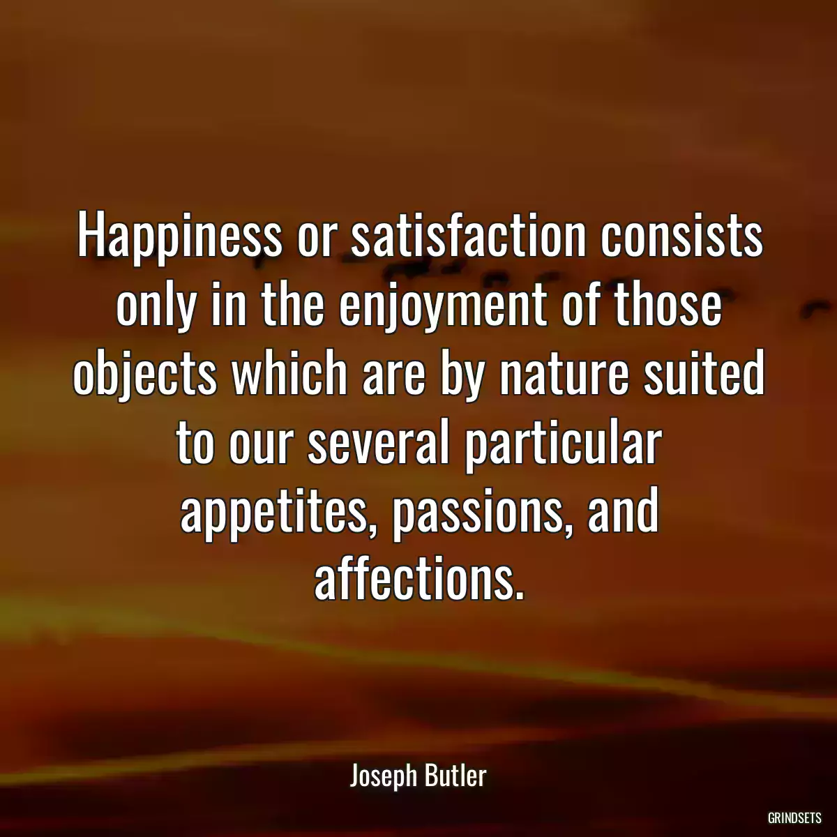 Happiness or satisfaction consists only in the enjoyment of those objects which are by nature suited to our several particular appetites, passions, and affections.