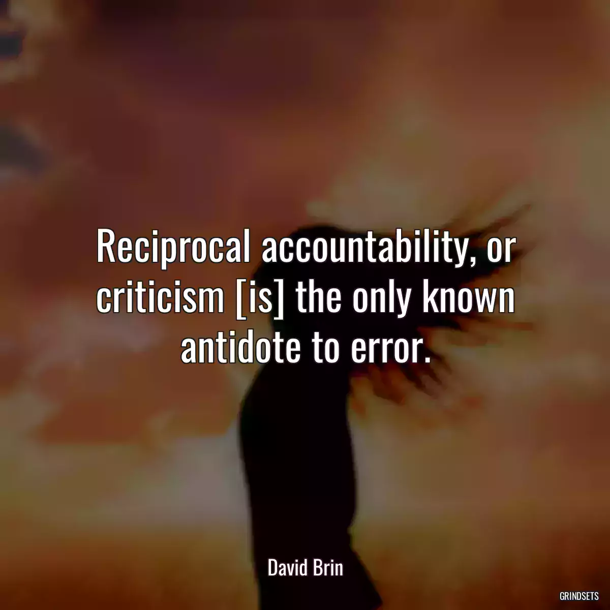 Reciprocal accountability, or criticism [is] the only known antidote to error.