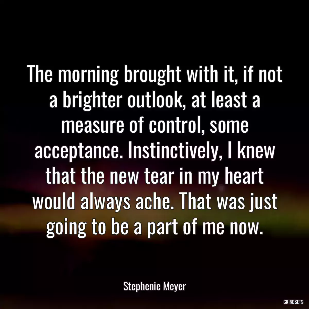 The morning brought with it, if not a brighter outlook, at least a measure of control, some acceptance. Instinctively, I knew that the new tear in my heart would always ache. That was just going to be a part of me now.