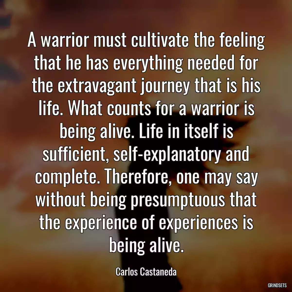 A warrior must cultivate the feeling that he has everything needed for the extravagant journey that is his life. What counts for a warrior is being alive. Life in itself is sufficient, self-explanatory and complete. Therefore, one may say without being presumptuous that the experience of experiences is being alive.