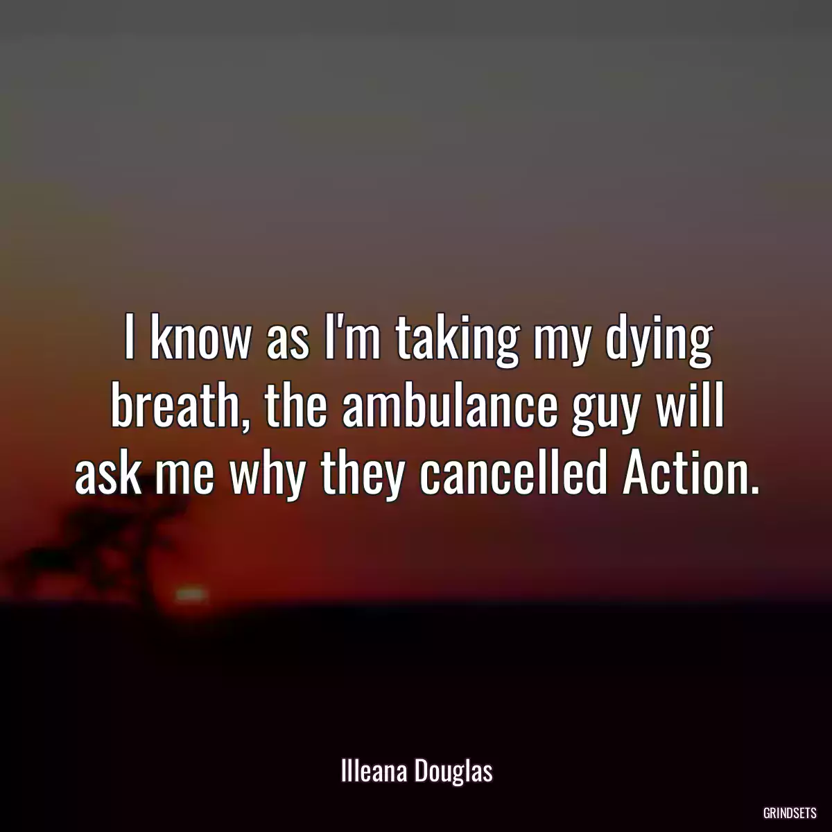 I know as I\'m taking my dying breath, the ambulance guy will ask me why they cancelled Action.