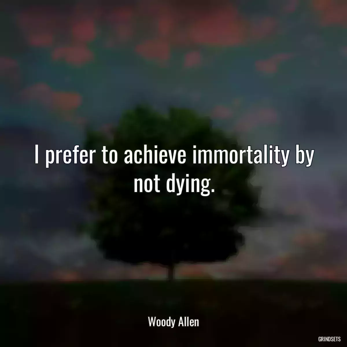 I prefer to achieve immortality by not dying.