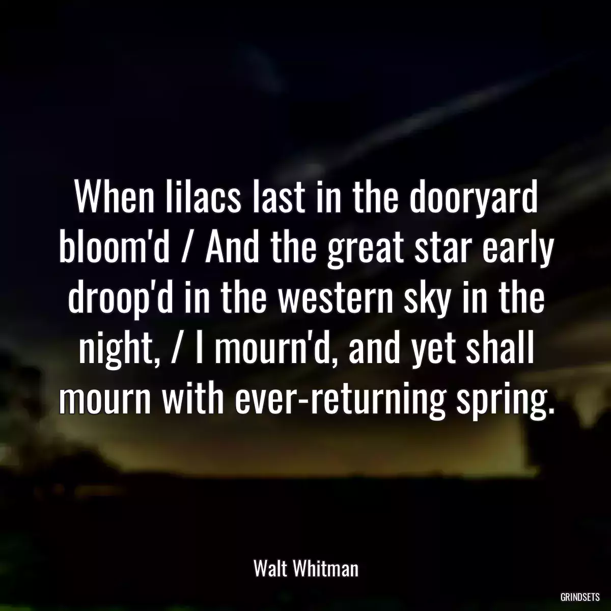 When lilacs last in the dooryard bloom\'d / And the great star early droop\'d in the western sky in the night, / I mourn\'d, and yet shall mourn with ever-returning spring.