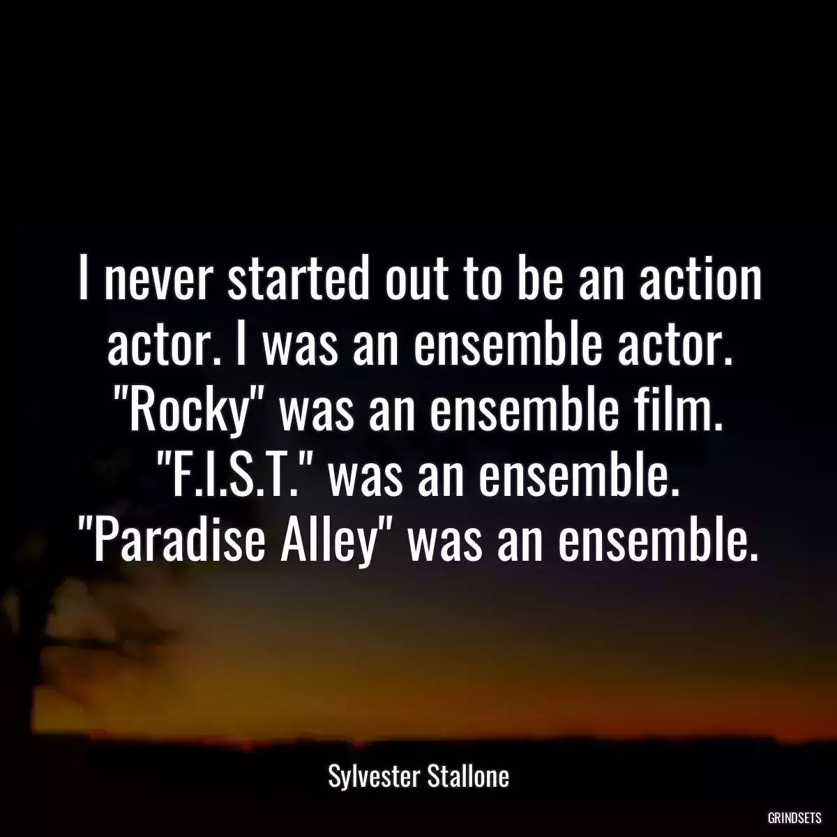 I never started out to be an action actor. I was an ensemble actor. \