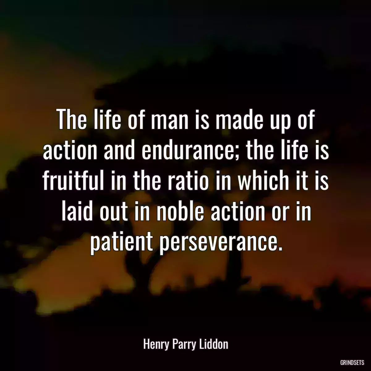 The life of man is made up of action and endurance; the life is fruitful in the ratio in which it is laid out in noble action or in patient perseverance.