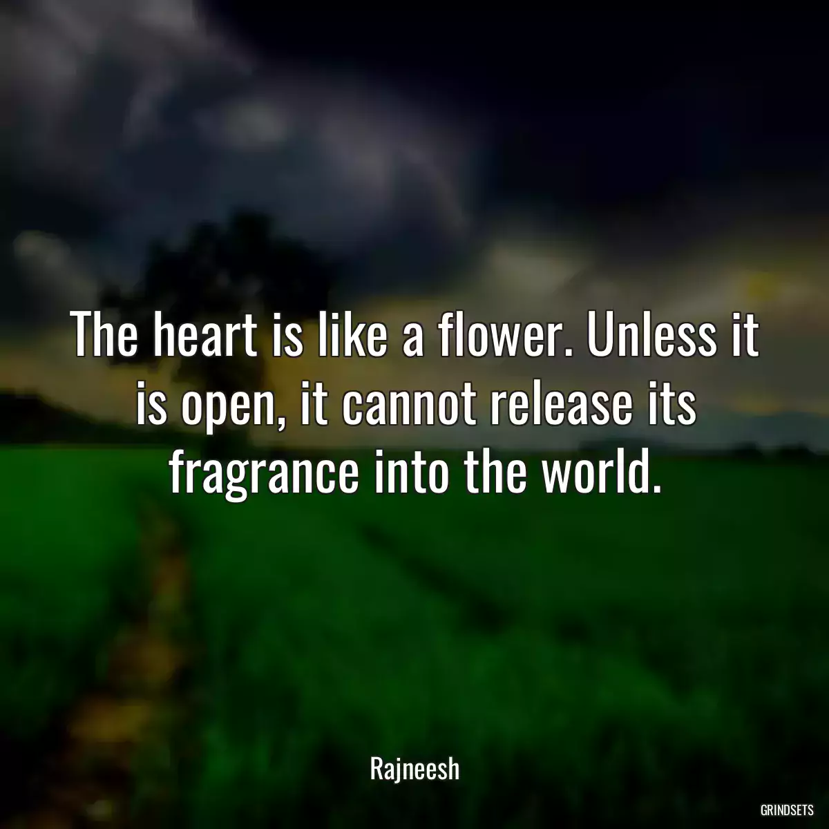 The heart is like a flower. Unless it is open, it cannot release its fragrance into the world.