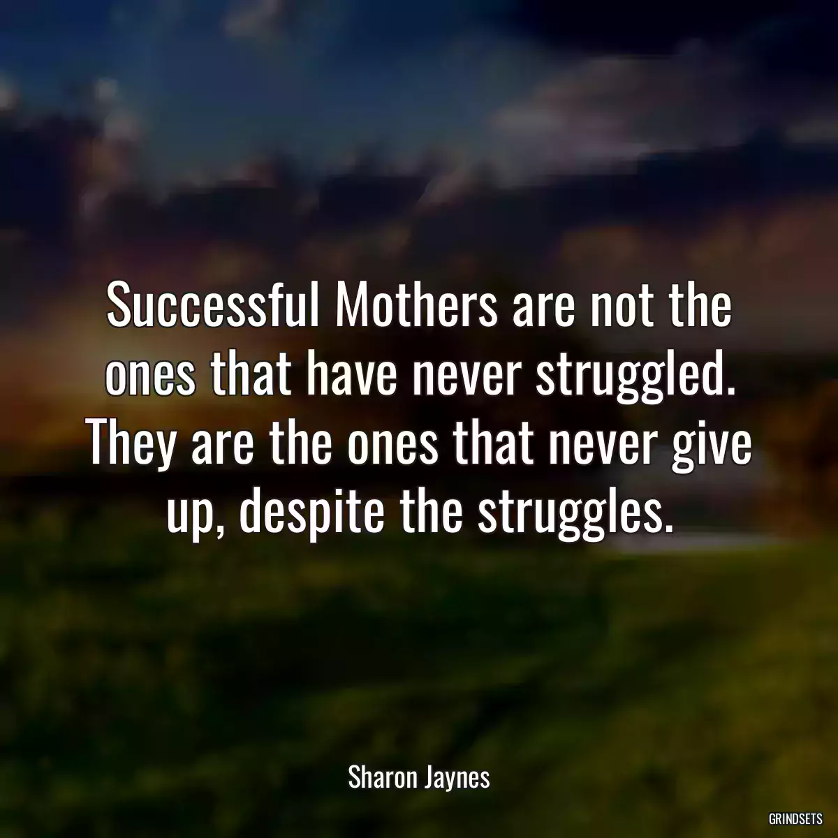 Successful Mothers are not the ones that have never struggled. They are the ones that never give up, despite the struggles.