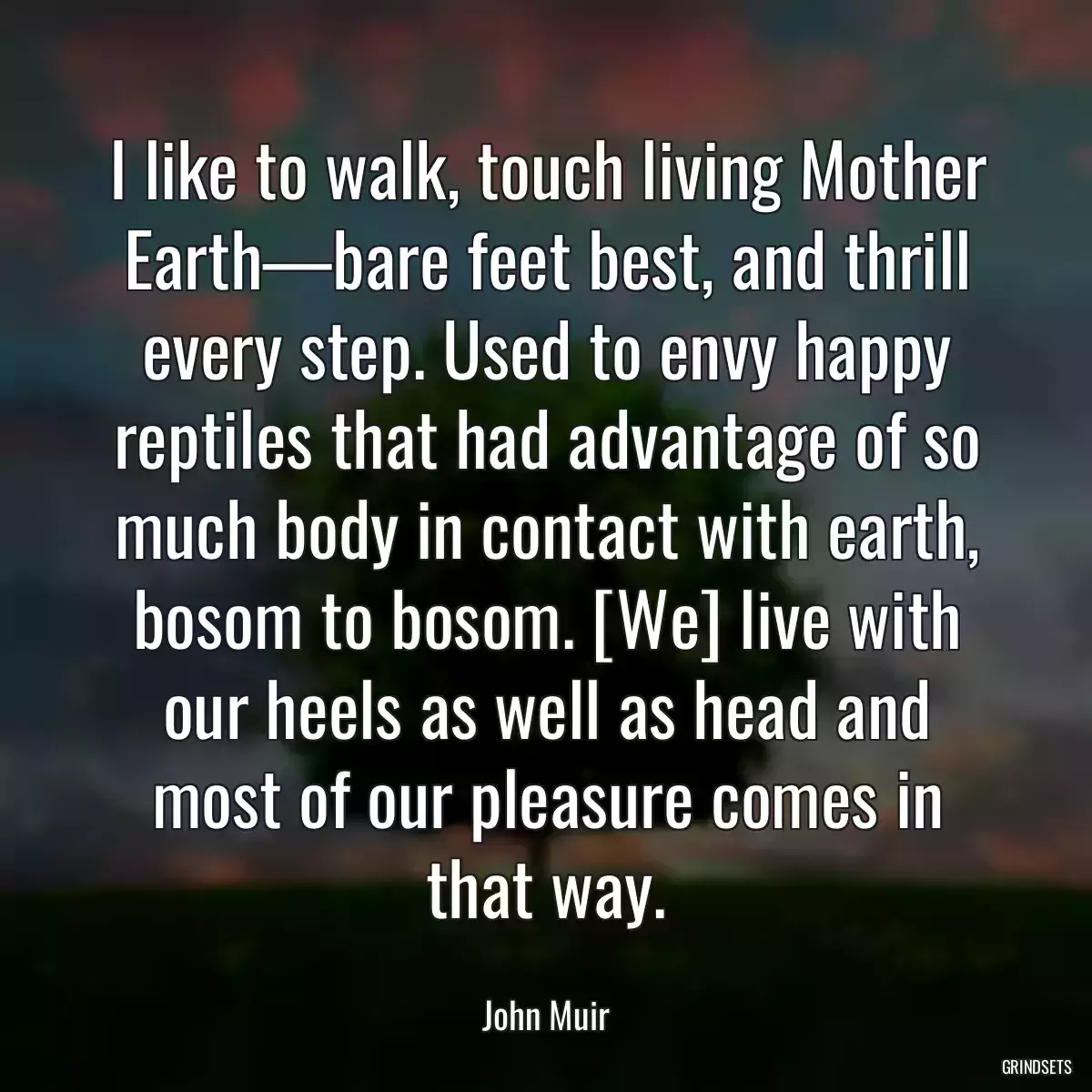 I like to walk, touch living Mother Earth—bare feet best, and thrill every step. Used to envy happy reptiles that had advantage of so much body in contact with earth, bosom to bosom. [We] live with our heels as well as head and most of our pleasure comes in that way.