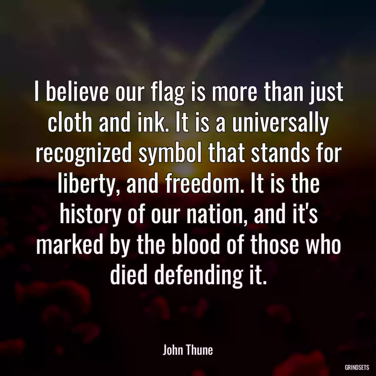 I believe our flag is more than just cloth and ink. It is a universally recognized symbol that stands for liberty, and freedom. It is the history of our nation, and it\'s marked by the blood of those who died defending it.