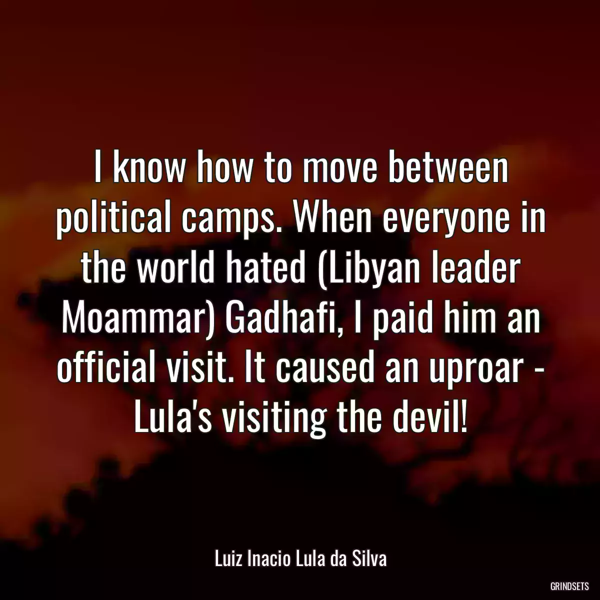 I know how to move between political camps. When everyone in the world hated (Libyan leader Moammar) Gadhafi, I paid him an official visit. It caused an uproar - Lula\'s visiting the devil!