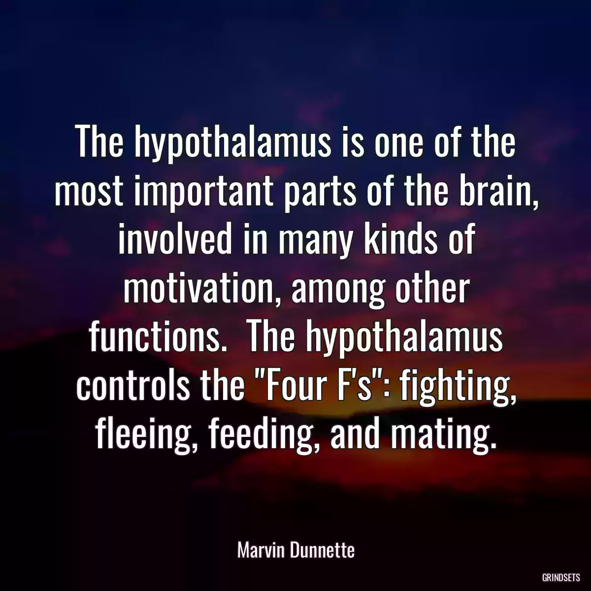 The hypothalamus is one of the most important parts of the brain, involved in many kinds of motivation, among other functions.  The hypothalamus controls the \