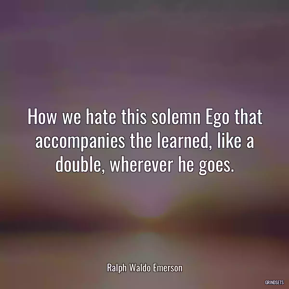 How we hate this solemn Ego that accompanies the learned, like a double, wherever he goes.