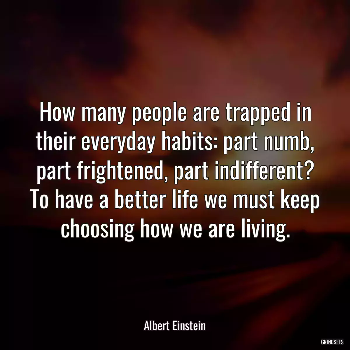 How many people are trapped in their everyday habits: part numb, part frightened, part indifferent? To have a better life we must keep choosing how we are living.