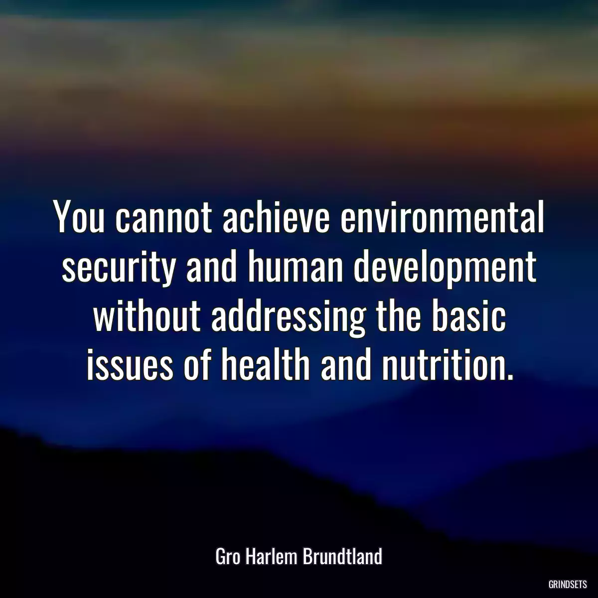 You cannot achieve environmental security and human development without addressing the basic issues of health and nutrition.