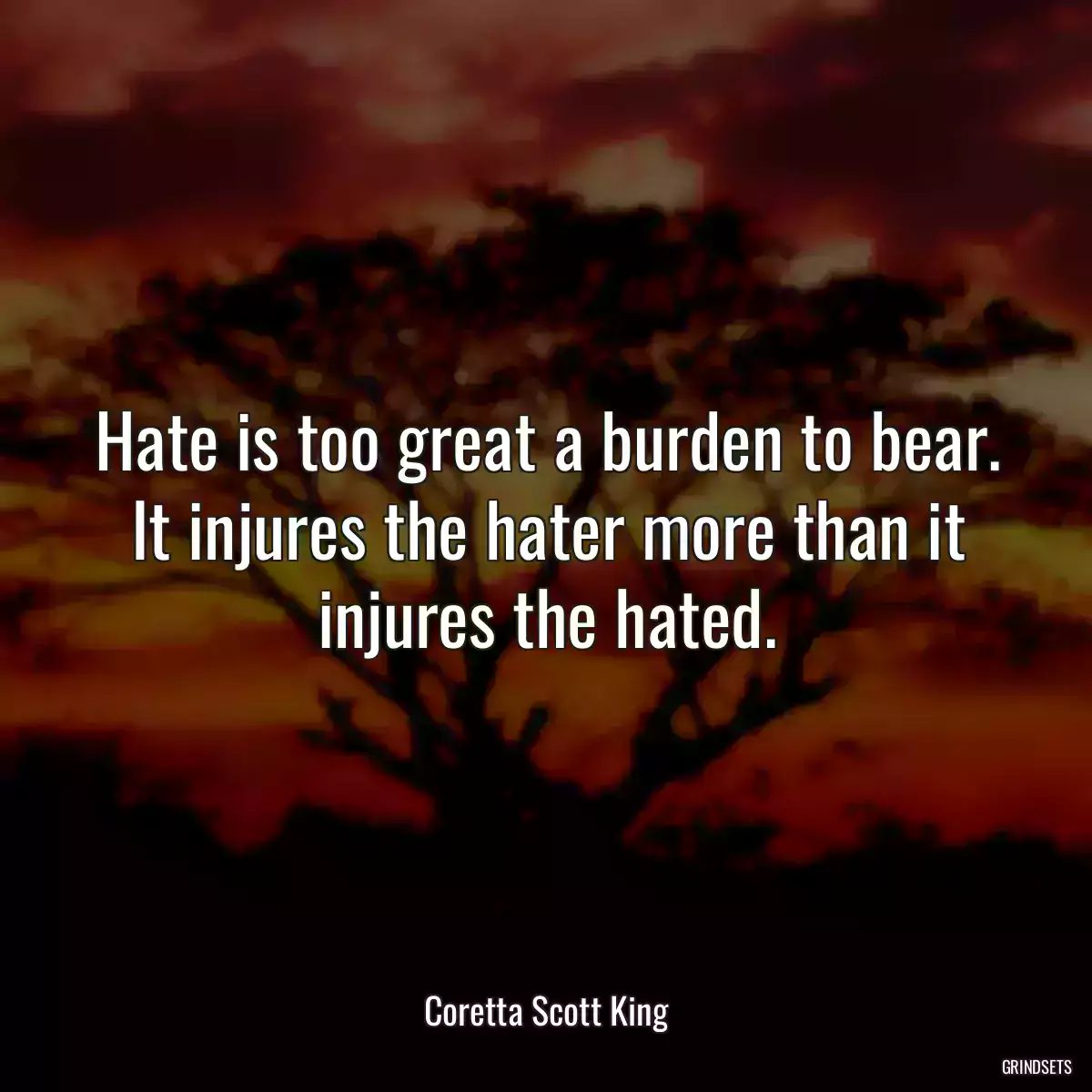 Hate is too great a burden to bear. It injures the hater more than it injures the hated.