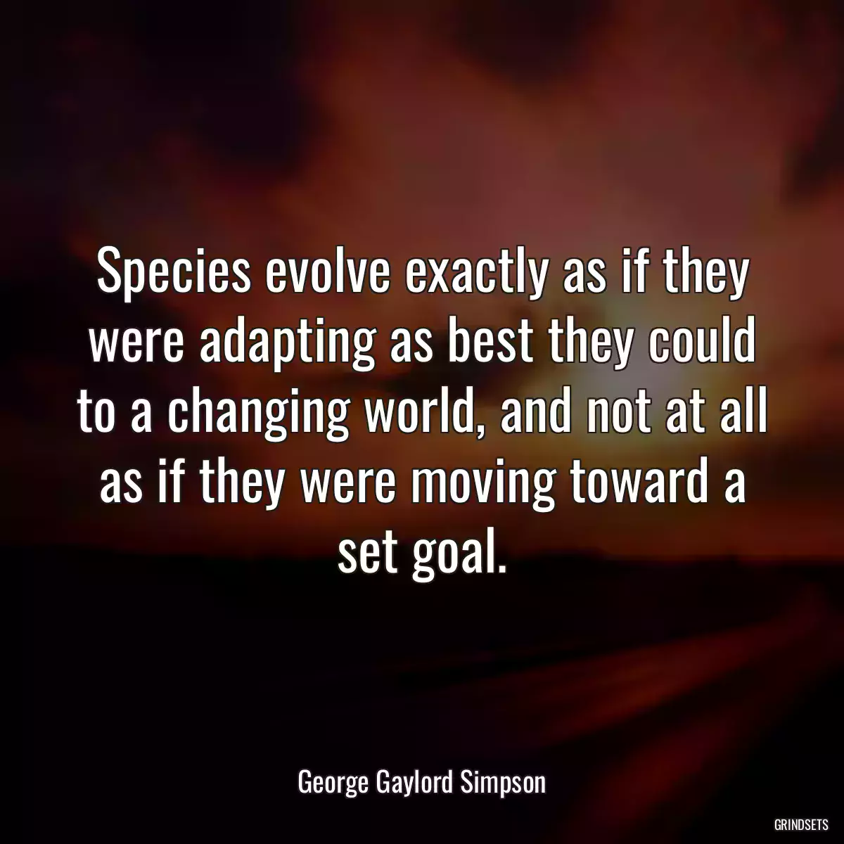 Species evolve exactly as if they were adapting as best they could to a changing world, and not at all as if they were moving toward a set goal.