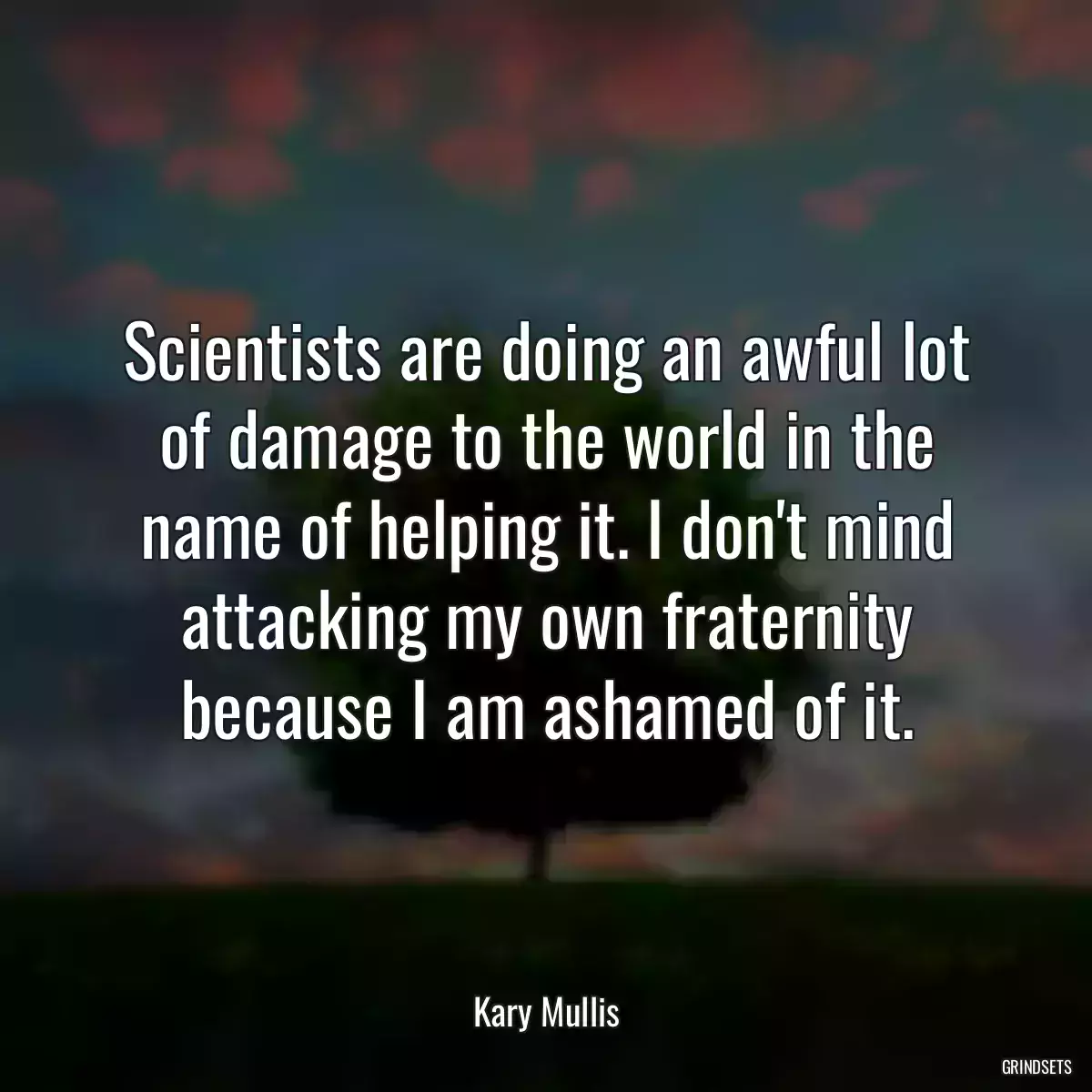 Scientists are doing an awful lot of damage to the world in the name of helping it. I don\'t mind attacking my own fraternity because I am ashamed of it.