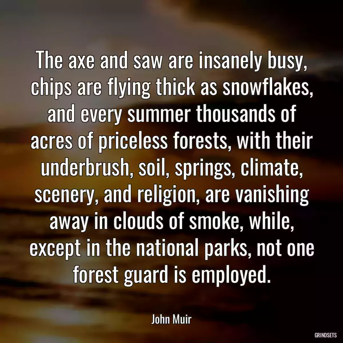 The axe and saw are insanely busy, chips are flying thick as snowflakes, and every summer thousands of acres of priceless forests, with their underbrush, soil, springs, climate, scenery, and religion, are vanishing away in clouds of smoke, while, except in the national parks, not one forest guard is employed.