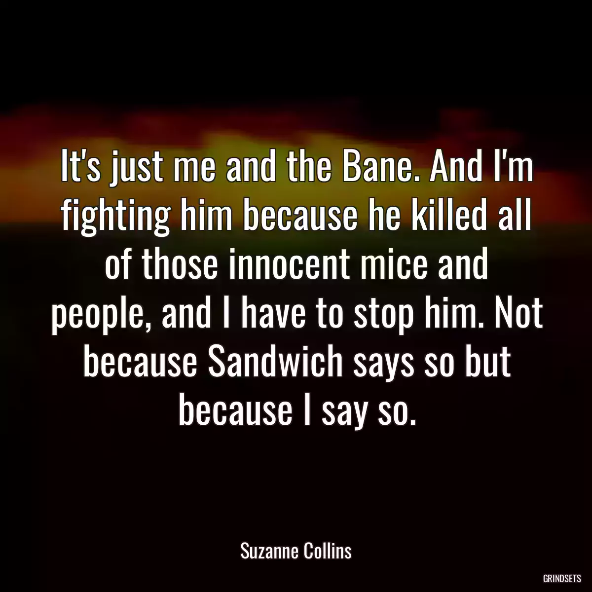 It\'s just me and the Bane. And I\'m fighting him because he killed all of those innocent mice and people, and I have to stop him. Not because Sandwich says so but because I say so.