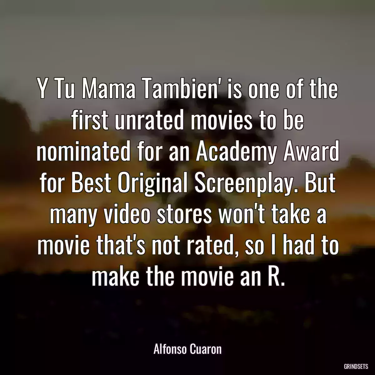 Y Tu Mama Tambien\' is one of the first unrated movies to be nominated for an Academy Award for Best Original Screenplay. But many video stores won\'t take a movie that\'s not rated, so I had to make the movie an R.