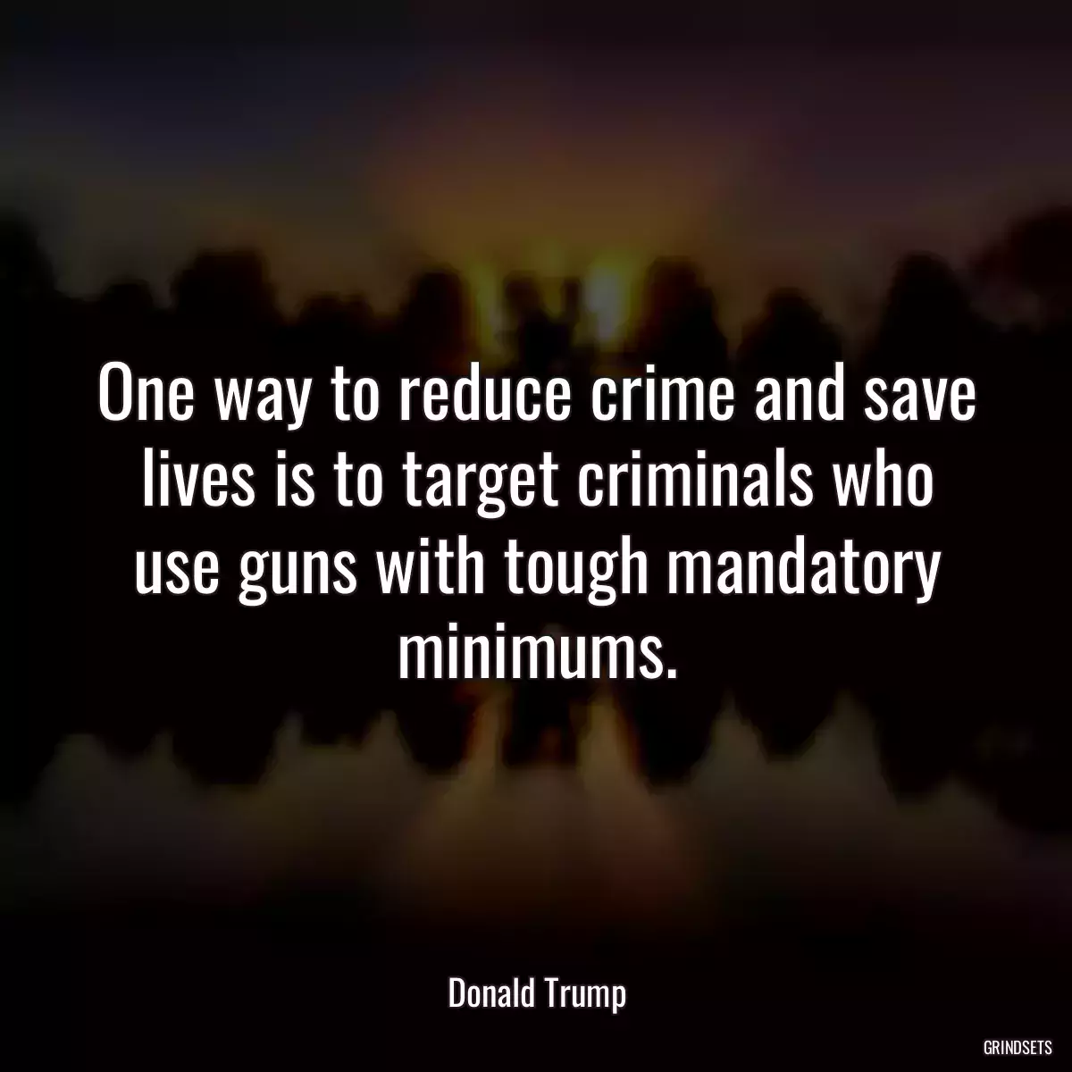 One way to reduce crime and save lives is to target criminals who use guns with tough mandatory minimums.