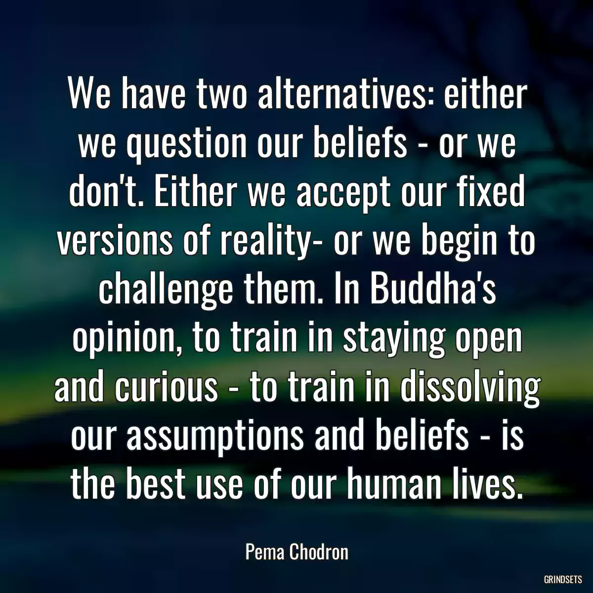 We have two alternatives: either we question our beliefs - or we don\'t. Either we accept our fixed versions of reality- or we begin to challenge them. In Buddha\'s opinion, to train in staying open and curious - to train in dissolving our assumptions and beliefs - is the best use of our human lives.