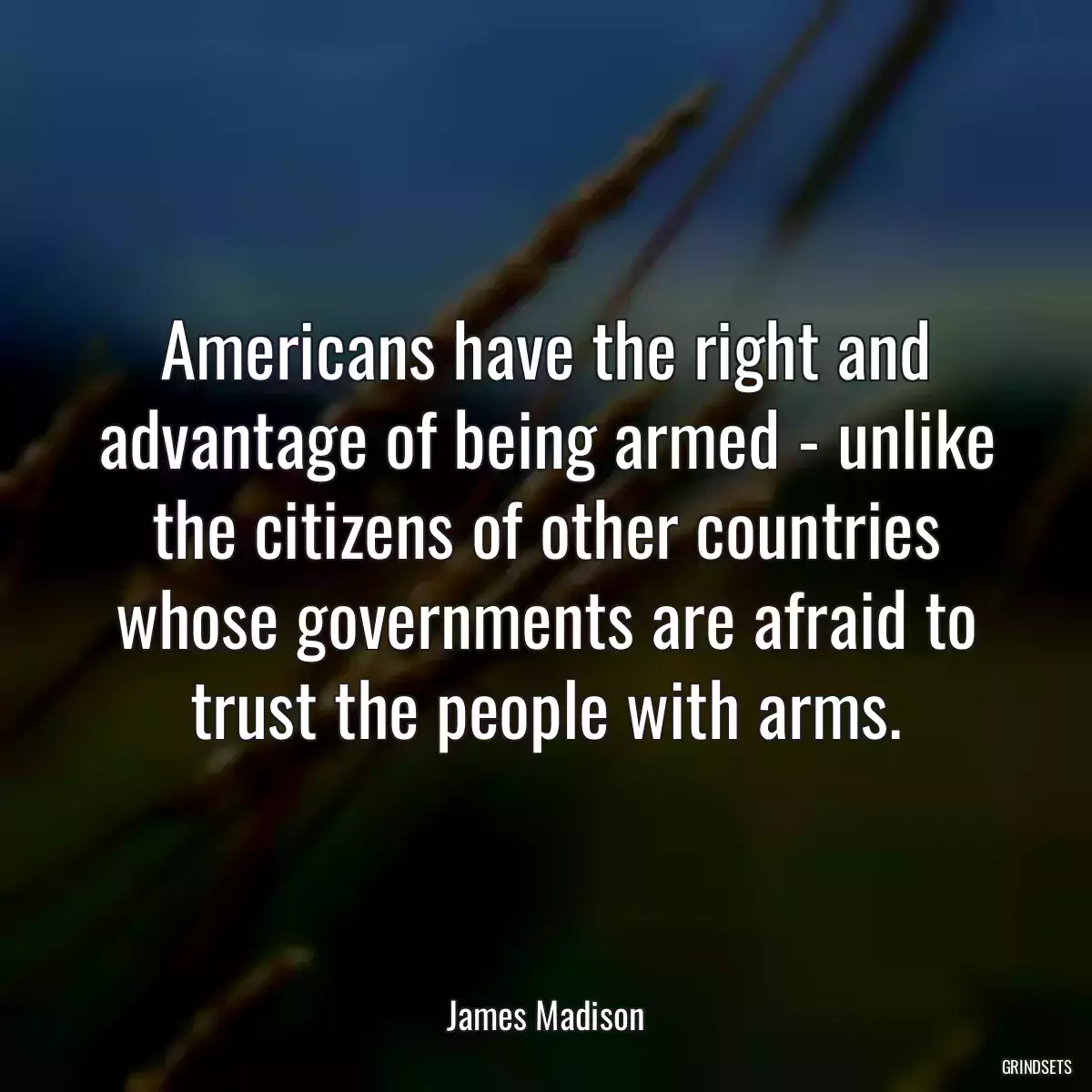 Americans have the right and advantage of being armed - unlike the citizens of other countries whose governments are afraid to trust the people with arms.