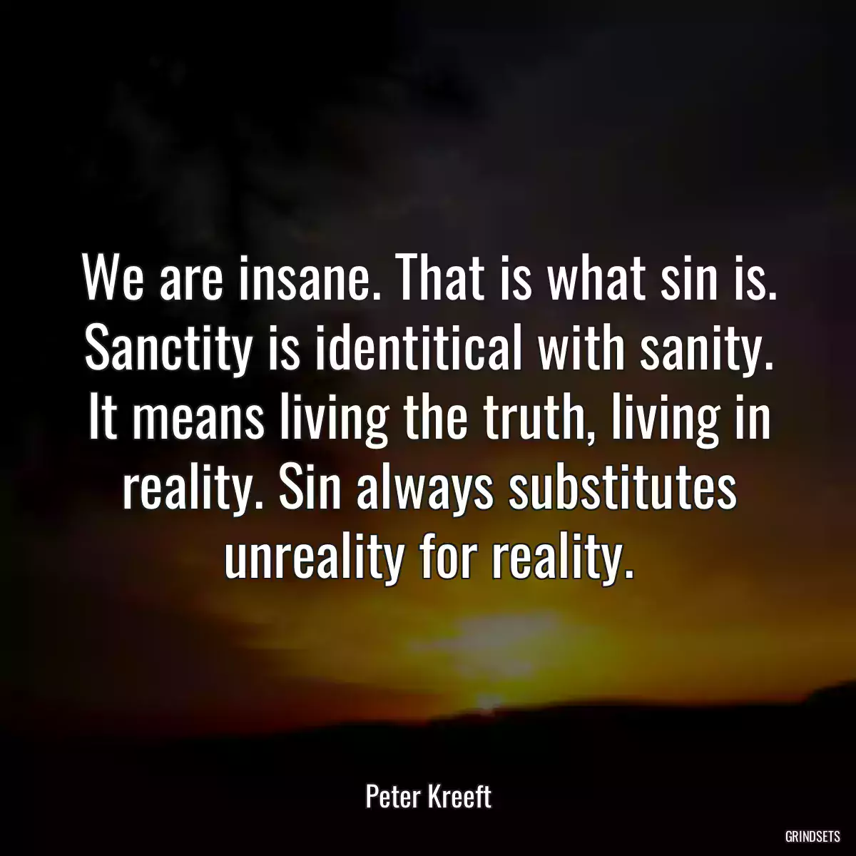 We are insane. That is what sin is. Sanctity is identitical with sanity. It means living the truth, living in reality. Sin always substitutes unreality for reality.