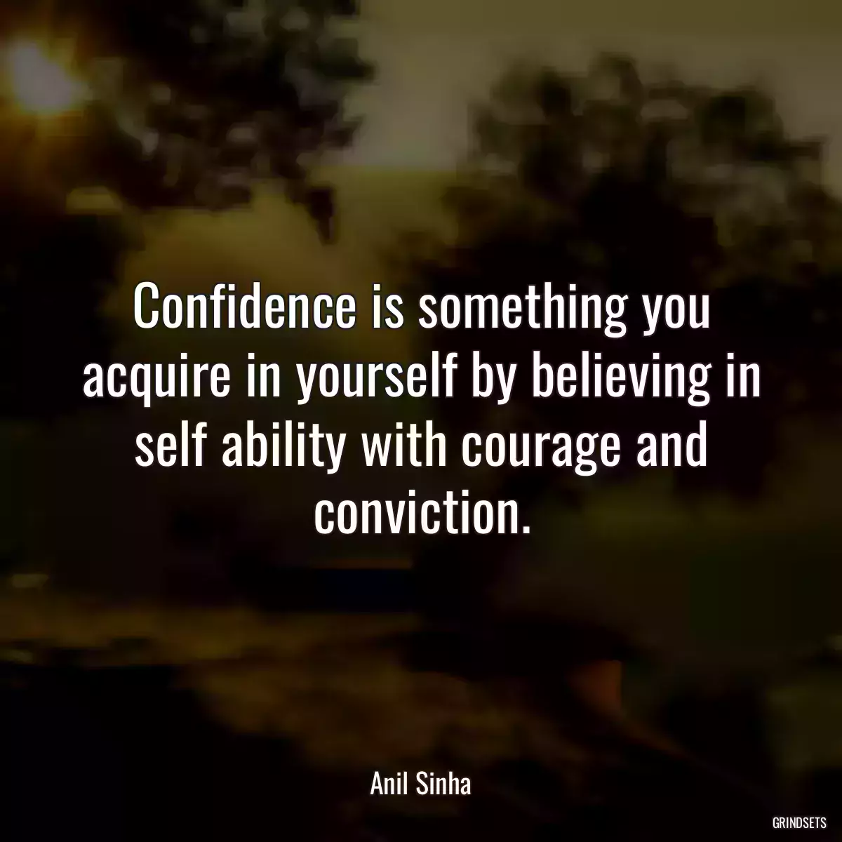 Confidence is something you acquire in yourself by believing in self ability with courage and conviction.