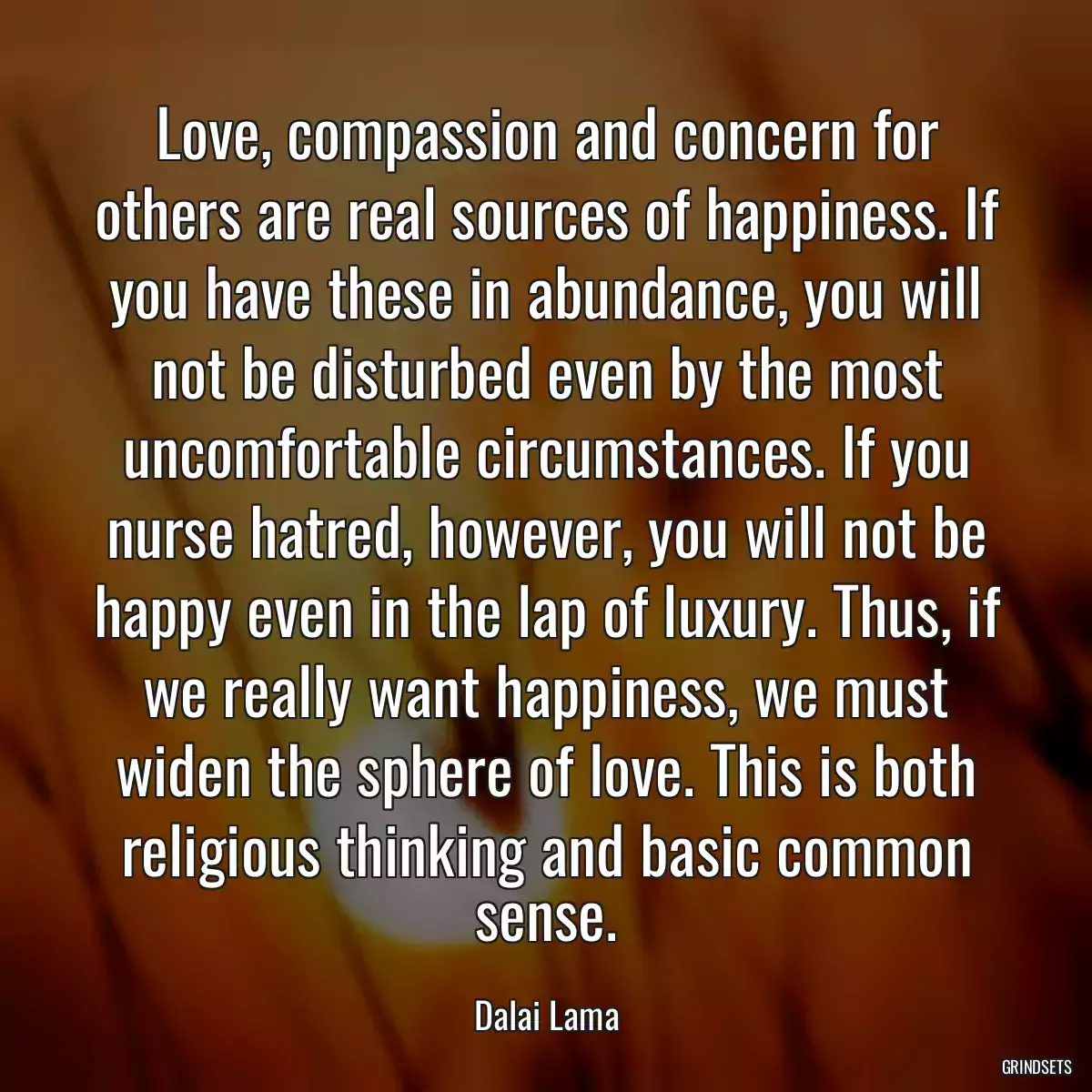 Love, compassion and concern for others are real sources of happiness. If you have these in abundance, you will not be disturbed even by the most uncomfortable circumstances. If you nurse hatred, however, you will not be happy even in the lap of luxury. Thus, if we really want happiness, we must widen the sphere of love. This is both religious thinking and basic common sense.