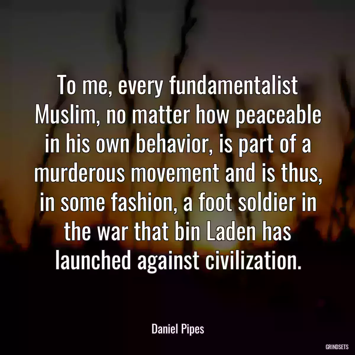 To me, every fundamentalist Muslim, no matter how peaceable in his own behavior, is part of a murderous movement and is thus, in some fashion, a foot soldier in the war that bin Laden has launched against civilization.